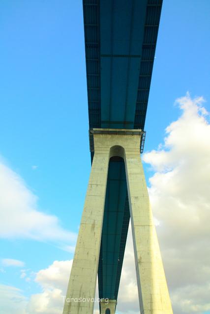 Мост Коронадо занимает 3 место по числу самоубийств