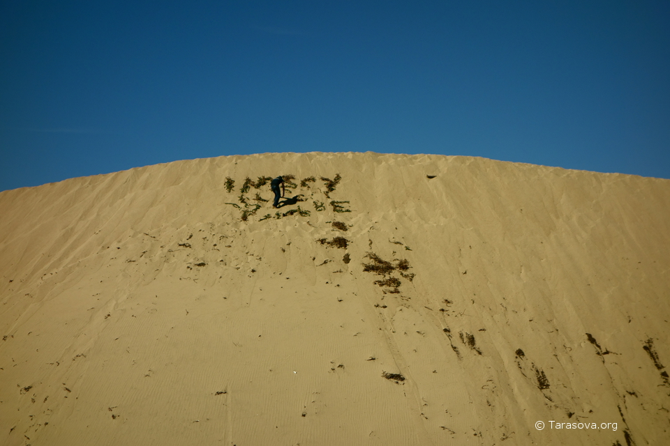 Иногда дюны у берега достигают десятка метров высотой