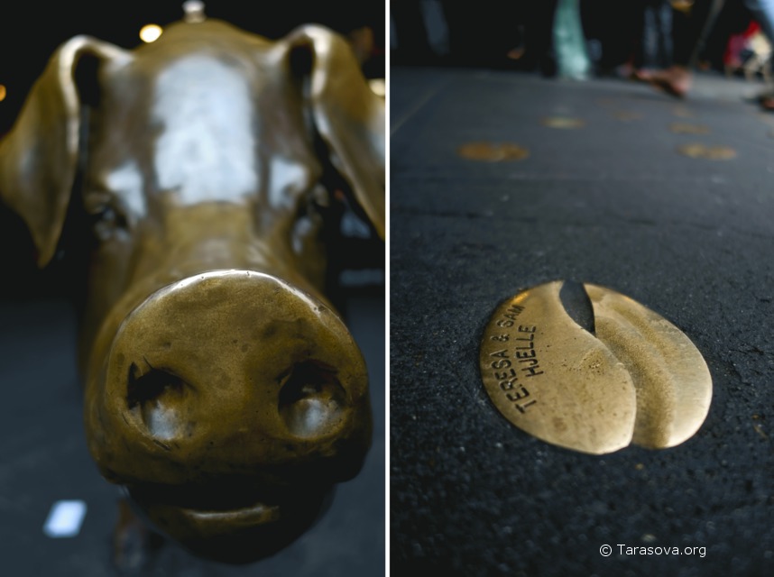 Слева - бронзовая скульптура свинки-копилки по имени Рейчел, справа – след от свинки, на котором за определенную плату можно выгравировать свое имя