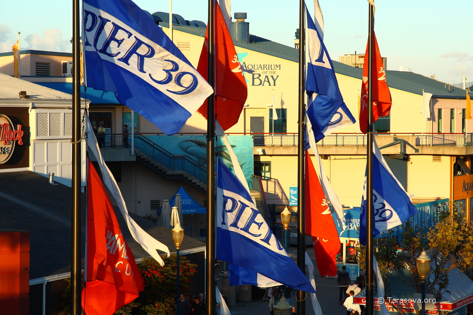 Флаги Пирса 39
