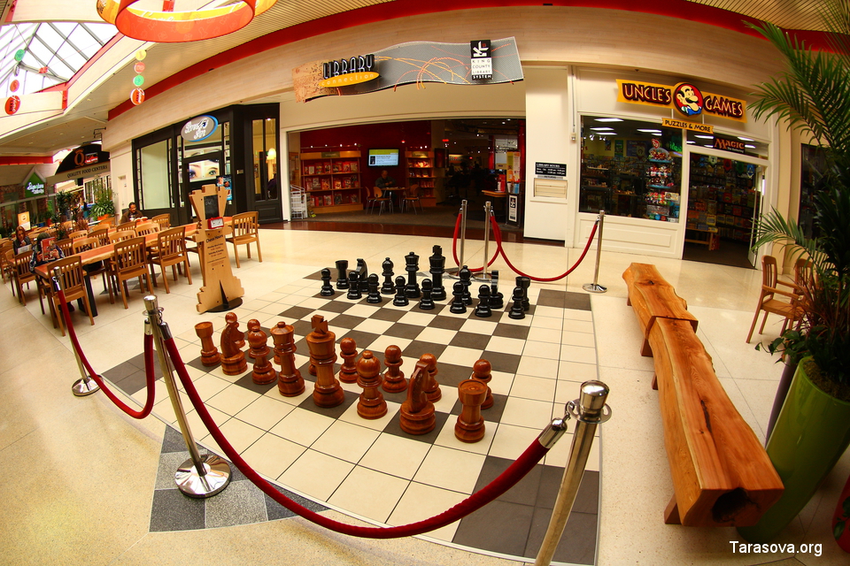 Напольные шахматы и вход в библиотеку внутри молла