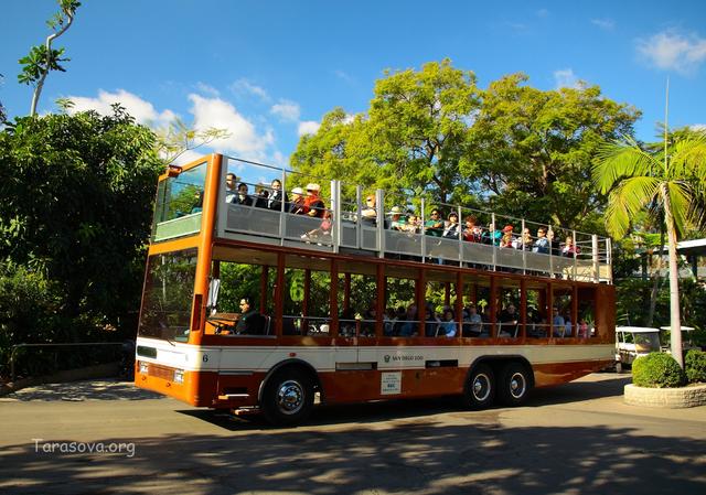  Автобусный тур по зоопарку 