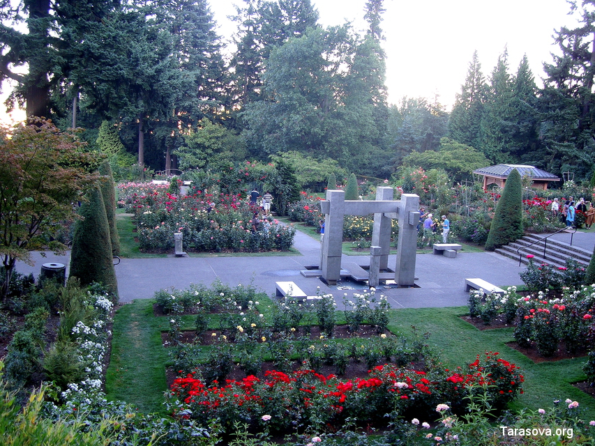 Городской дендрарий Hoyt Arboretum