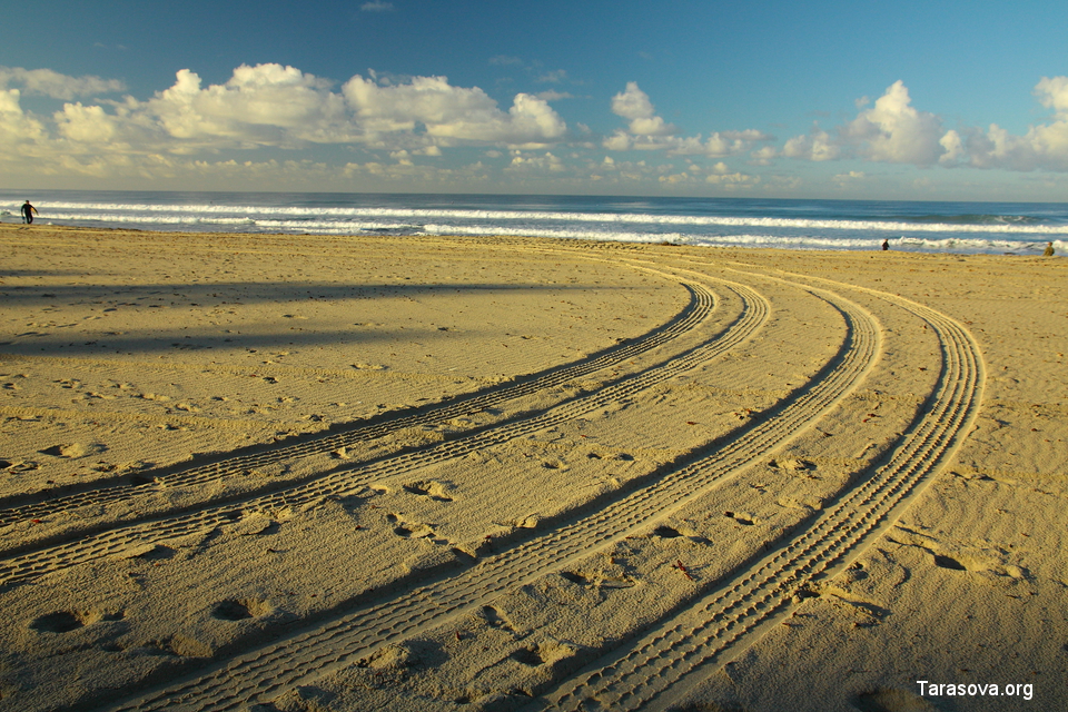 каждый день пляжный песок  просеивается и чистится
