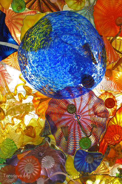 Тихоокеанские морские формы жизни в стекле, выполненные мастером стекла Дейл Чихули».