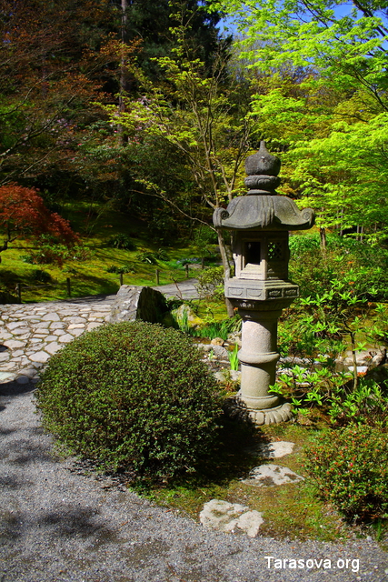 Японский сад в городском дендрарии Hoyt Arboretum 