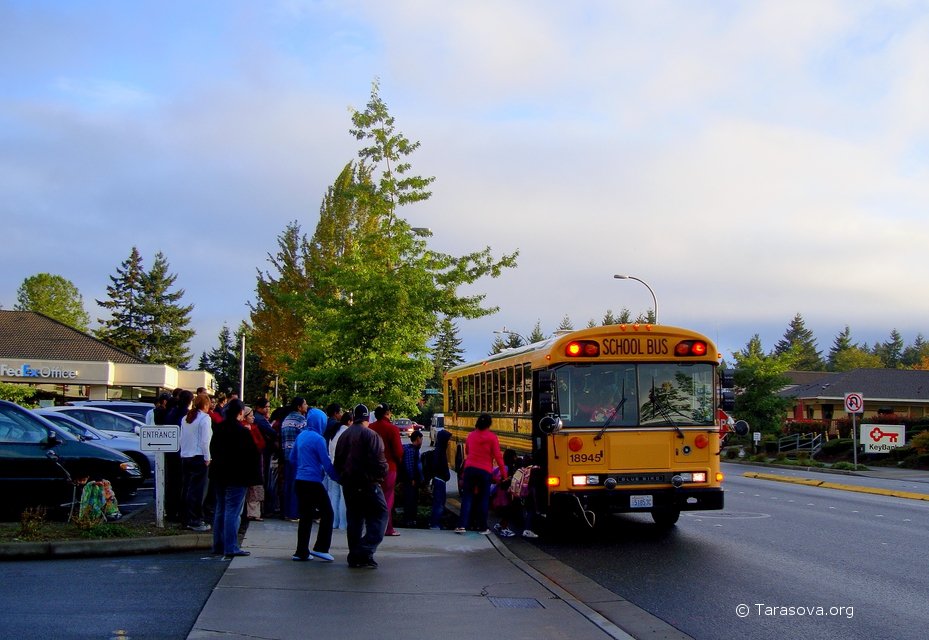 Школьный автобус каждый день отвозил и привозил детей из школы