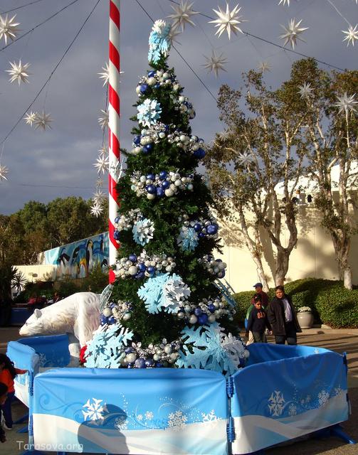Рождественская елка у павильона с пингвинами в СиВорлд
