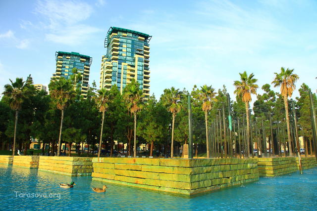 Бассейн с пальмами на набережной Сан-Диего