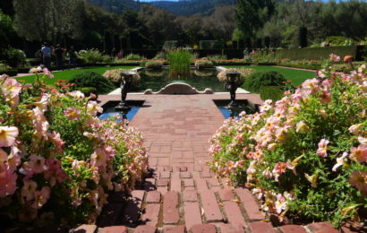 Сады Филоли в Калифорнии. (Filoli Gardens)